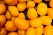一天吃五個(gè)沃柑好嗎（一天吃三個(gè)沃柑會上火嗎）