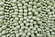 柑橘限根栽培技術(shù)有哪些方法（柑橘的栽培管理技術(shù)小測(cè)驗(yàn)）