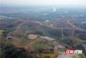 衡陽(yáng)市柑橘種植技術(shù)規(guī)程_桂林是幾線城市