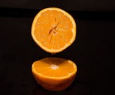 柑桔冬季修枝管理技術(shù)要點(diǎn)（柑桔冬季修枝管理技術(shù)要點(diǎn)有哪些）