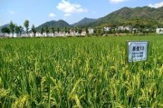 麗水市柑橘生產(chǎn)病蟲害_磷酸二氫鉀在什么溫度用安全