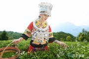巴東小柑橘種植技術(shù)_巴東神龍溪來(lái)歷