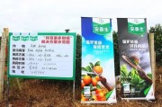 柑橘種植技術與管理圖片_柑橘有花無梢如何管理