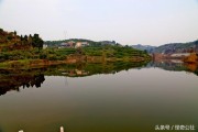 柑橘夏剪最佳時(shí)間是幾月份_如何促進(jìn)柑橘秋梢老熟