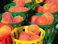 廣西沃柑廉江紅心橙哪個好吃（寶馬投屏）
