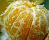 新會(huì)柑接近還有哪些柑橘（新會(huì)柑的核心產(chǎn)區(qū)）