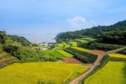 井研縣柑橘晚熟園區(qū)：產(chǎn)業(yè)升級(jí)助力鄉(xiāng)村振興新標(biāo)桿