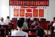 150畝柑橘種植技術(shù)_柑橘種植4米X2米一畝地多少株