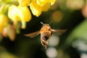 原產(chǎn)地直擊！宜昌柑橘直播帶貨火熱開(kāi)播，限時(shí)特惠搶鮮購(gòu)！
