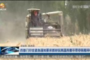 干旱柑橘種植技術(shù)視頻_種植仙人掌果什么土質(zhì)好
