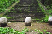 山頂柑橘種植技術(shù)_認養(yǎng)農(nóng)業(yè)的模式有哪些