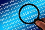 2023柑橘種植技術革新與實戰(zhàn)指南：科學管理提升產量品質