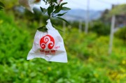 柑橘樹無公害種植技術_為了減少污染最好采取什么辦法防治害蟲呢