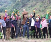 仁懷柑橘種植技術(shù)采購_有哪些不為人知又好吃的地方特產(chǎn)