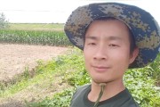 柑橘哪些病蟲害不能用藥_吡唑醚菌酯在柑橘的最佳使用時間