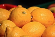 柑橘可以嫁接檸檬嗎視頻(檸檬砧木嫁接柑橘) 柑橘可以嫁接檸檬嗎視頻(檸檬砧木嫁接柑橘)