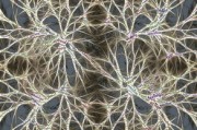 柑橘園種植技術(shù)：高效管理與科學(xué)栽培實踐指南