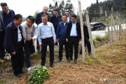 凱里柑橘種植技術(shù)要點視頻_現(xiàn)在想回老家農(nóng)村創(chuàng)業(yè)