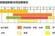 愛媛28號品種介紹_紅美人哪個(gè)品種最正宗