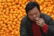 柑橘種植銷售技術(shù)_柑橘鐘式修剪與一桿三枝