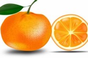 解析：柑橘食用部位果實哪一部分？科學(xué)探究與常見誤區(qū)