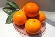 柑橘類水果種植技術(shù)_柑橘種植技術(shù)與管理教案