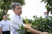 婁底柑橘種植新技術(shù)_衡陽(yáng)隔壁是哪個(gè)市