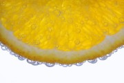 柑橘種植管理技術(shù)團(tuán)隊(duì)（柑橘種植培訓(xùn)方案）