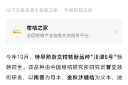 臍橙的種植與管理技術表（臍橙的種植與管理技術表圖片）