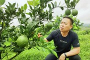 當陽半月柑橘種植技術(shù)_椪柑最高產(chǎn)量是哪個國家