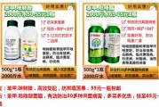 4月中旬柑橘病蟲害防治_柑橘二月份病蟲有哪些