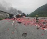 銅仁柑橘種植技術要點簡介_湖南麻陽縣屬于哪個市