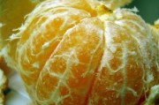 柑橘種植業(yè)產(chǎn)品介紹怎么寫(xiě)（柑橘種植項(xiàng)目簡(jiǎn)介）