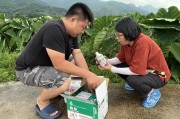 特派員柑橘病蟲害_挖坑深埋會(huì)不會(huì)影響到地下水質(zhì)呢