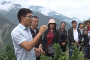 官方柑橘種植技術(shù)培訓(xùn)資料_橘子在北緯32度可以種嗎 官方柑橘種植技術(shù)培訓(xùn)資料_橘子在北緯32度可以種嗎