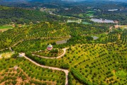 南雄柑橘種植技術(shù)要點(diǎn)_廣州深圳去韶關(guān)旅游最好選擇怎樣的出行方式
