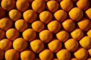 柑橘?；ū９幖雅浞剑ǜ涕俦；ū９r(nóng)藥最佳配方）