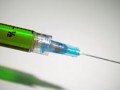 柑桔黃葉怎么辦？原因分析及科學(xué)防治方法全解析