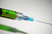 柑桔黃葉怎么辦？原因分析及科學防治方法全解析