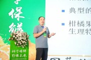 未來柑橘種植技術(shù)_柑橘斜坡種植技術(shù)