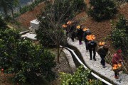 江山柑橘種植技術(shù)_CK永恒淡噴式男士香水介紹
