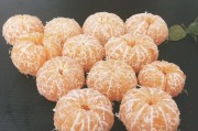 紅心寶柑橘種植技術(shù)_用什么樹木養(yǎng)殖金蟬效益最高