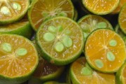 柑橘一種東西嗎（柑橘有區(qū)別嗎）