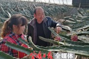 南方果樹(shù)柑橘種植技術(shù)_柑橘一年需要施幾次肥