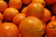川津1號柑橘品種介紹圖：優(yōu)質果品特性與栽培技術詳解