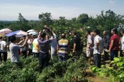 柑橘類病蟲害統(tǒng)防統(tǒng)治_贛南臍橙黃龍病會不會消失 柑橘類病蟲害統(tǒng)防統(tǒng)治_贛南臍橙黃龍病會不會消失