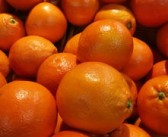 柑桔謝花保果用什么藥效果好（柑橘保花用什么藥好）