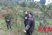 柑橘種植技術(shù)培訓(xùn)的目的_植保無人機(jī)在征戰(zhàn)柑橘植保市場的道路上發(fā)展怎么樣 柑橘種植技術(shù)培訓(xùn)的目的_植保無人機(jī)在征戰(zhàn)柑橘植保市場的道路上發(fā)展怎么樣