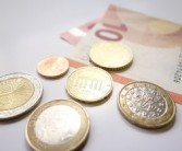 金桔價格多少錢一斤（金桔的價格多少錢1斤）