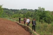 雙橋柑橘種植技術視頻_南充打造現(xiàn)代農業(yè)園區(qū)